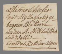 L 01265
<br/>
Label met opschrift
<br/>
<em>Escher von der Linth, Johannes Conrad (1767-1823)</em>